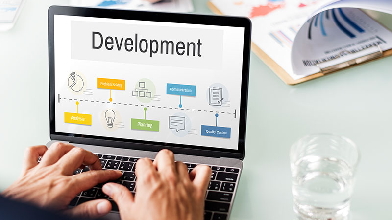 Website development