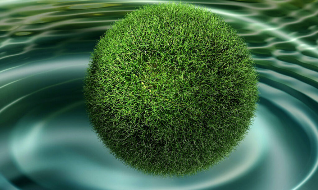 Graphics Designing sec 5. 2img