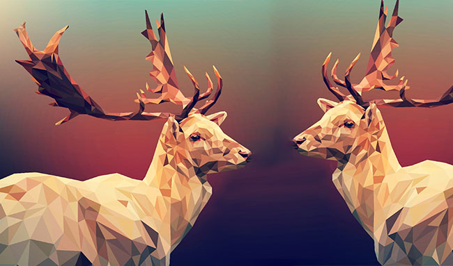 Graphics Designing sec 5